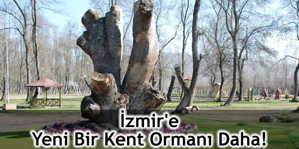 İzmir’e Yeni Bir Kent Ormanı Daha!