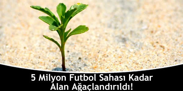 5 Milyon Futbol Sahası Kadar Alan Ağaçlandırıldı!