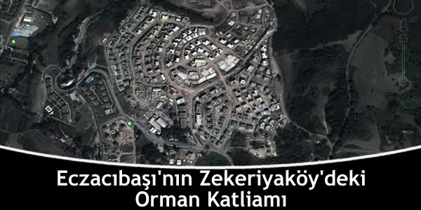 Eczacıbaşı’nın Zekeriyaköy’deki Orman Katliamı