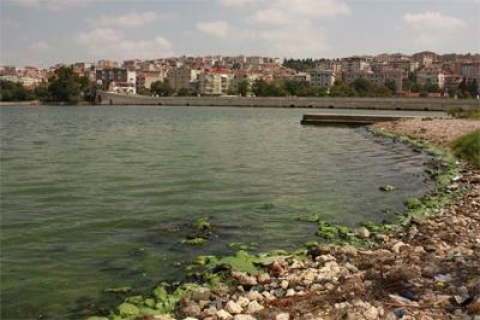 Küçükçekmece Gölü’ndeki Kirliliğin Sebebi Belirlendi!