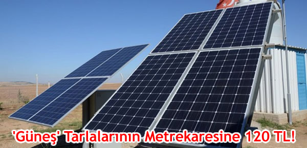 ‘Güneş’ Tarlalarının Metrekaresine 120 TL!