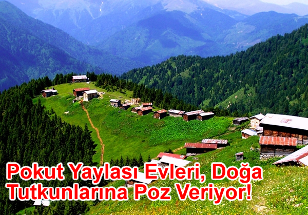 pokut rize, pokut yaylası, pokut yaylası evleri, rize çamlıhemşin pokut yaylası, rize yayla, sal yaylası