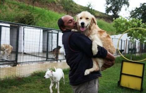 samsunda-kopekler-icin-dev-otel-insa-edildi samsun köpek oteli, samsun köpek pansiyonu, samsun tekkeköy köpek oteli, samsunda köpekler için dev otel