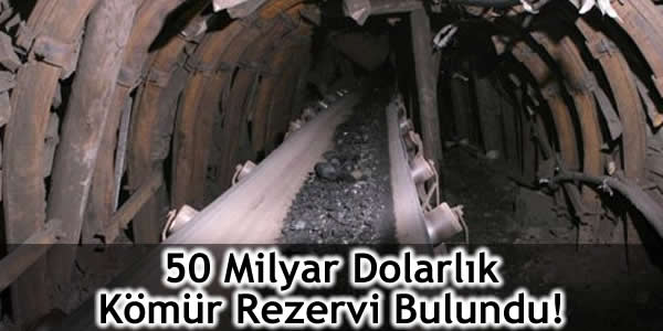 50 Milyar Dolarlık Kömür Rezervi Bulundu!