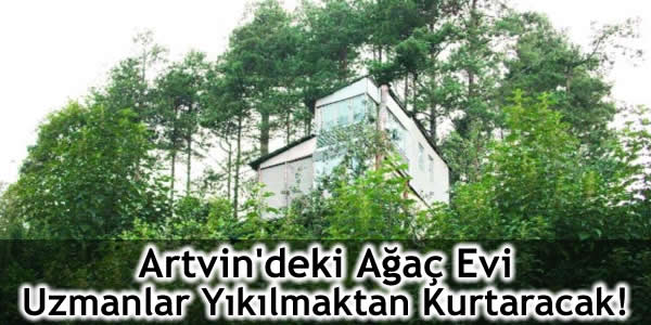 Artvin’deki Ağaç Evi Uzmanlar Yıkılmaktan Kurtaracak!