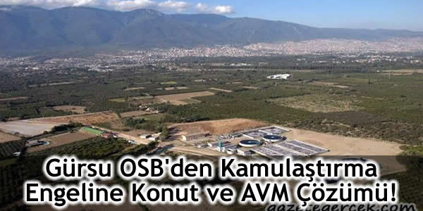 Gürsu Organize Sanayi Bölgesi, Gürsu OSB, GÜSAB