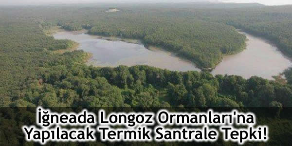 İğneada Longoz Ormanları’na Yapılacak Termik Santrale Tepki!
