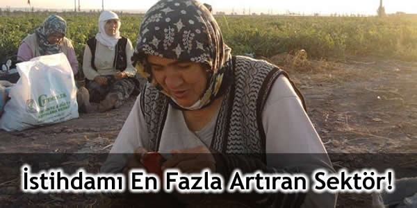 İstihdamı En Fazla Artıran Sektör!