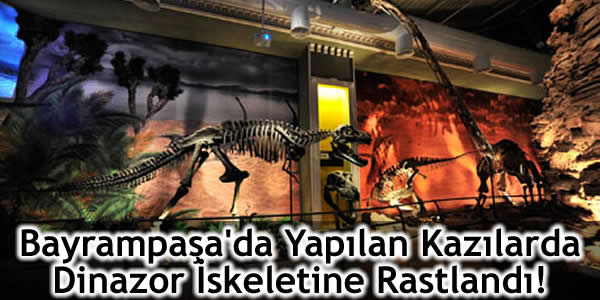 Bayrampaşa’da Yapılan Kazılarda Dinazor İskeletine Rastlandı!