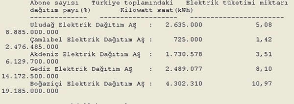 insaatcilarin-ortakligindan-enerji-devi-dogdu-2