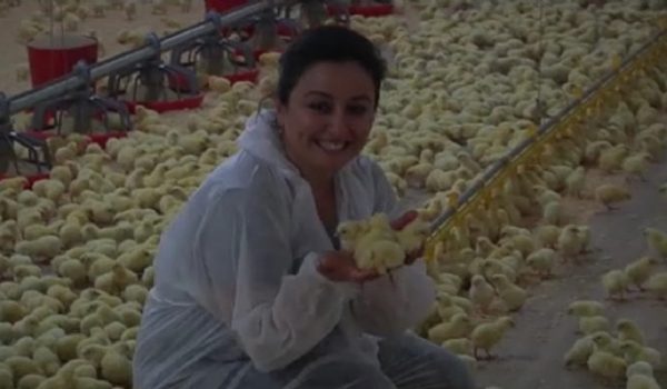 oxfordlu-kadin-girisimci-tavuk-ciftligi-kurdu-4