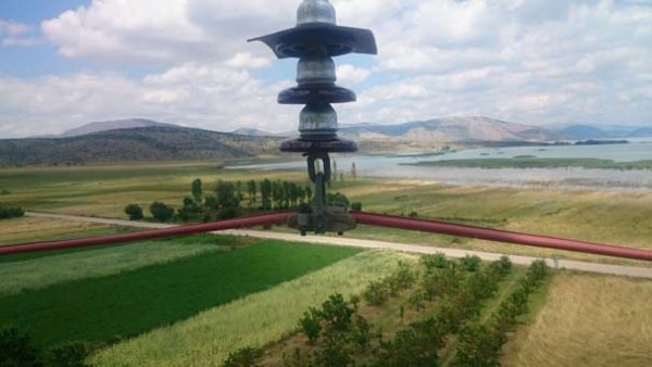 AEDAŞ’tan Göçmen Kuşlara Yuva