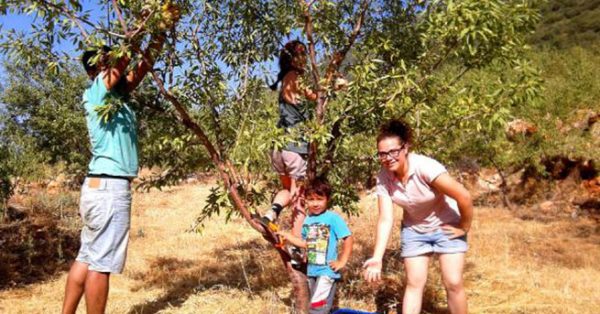 bugday-derneginden-ucretsiz-ekolojik-tatil