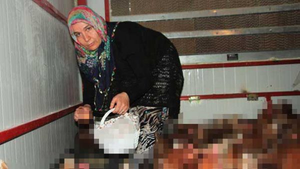Devlet Desteği İle İşe Girdi; Topladığı Gibi Kapışılıyor!