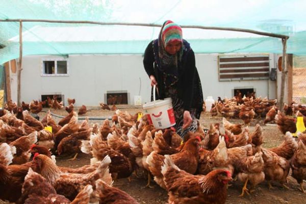 Devlet Desteği İle İşe Girdi; Topladığı Gibi Kapışılıyor! Devlet Desteği İle İşe Girdi; Topladığı Gibi Kapışılıyor!
