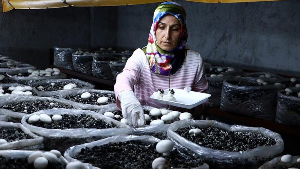 Köydeki Evinde İşinin Patronu Oldu!