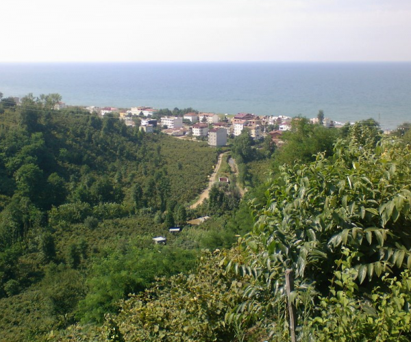 Ordu Giresun Havalimanı Gülyalı’da Arsa Fiyatlarını Uçurdu ordu-giresun-havalimani-gulyalida-arsa-fiyatlarini-ucurdu-1