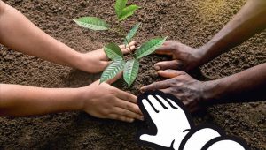 Michelin ve Enviro’dan Lastik Geri Dönüşümü İçin İşbirliği