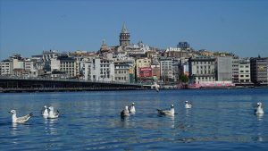 Tarihi Sessizlikte İstanbul Boğazı ve Haliç’te ‘Kuşların’ Hakimiyeti