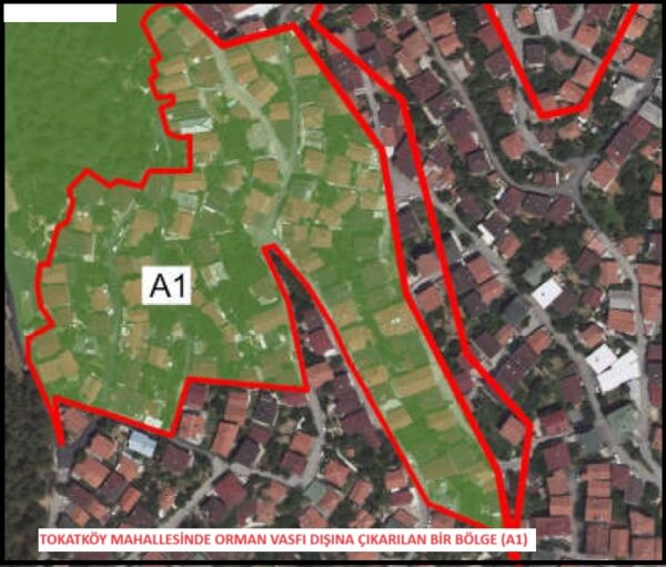 Beykoz’da Yaşayan Yaklaşık 700 Hane Diken Üstünde! Beykoz’da Yaşayan Yaklaşık 700 Hane Diken Üstünde!