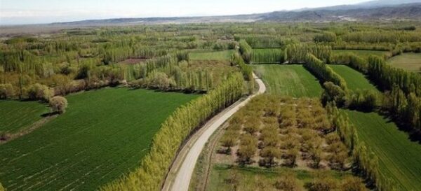 6 Soruda 2B Orman Arazilerinin Tapulaştırma Süreci 6 Soruda 2B Orman Arazilerinin Tapulaştırma Süreci