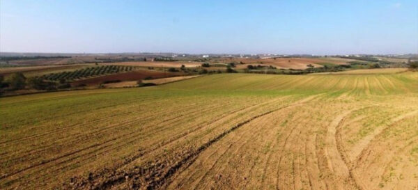 Parasını Toprağa Yatıranlar Kaybetti: Arsa ve Tarlada En Az Değerlenen İller Belli Oldu Parasını Toprağa Yatıranlar Kaybetti: Arsa ve Tarlada En Az Değerlenen İller Belli Oldu