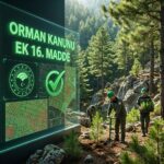 Orman Alanları “Arsa” mı Oluyor? DMM’den Yalanlama ve Orman Kanunu Ek 16. Madde Gerçeği